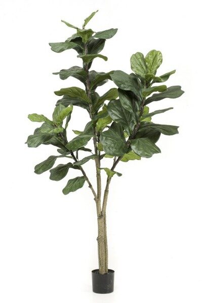 Ficus Lyrata mākslīgais augs 180cm