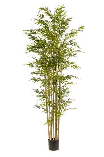 Bamboo deluxe mākslīgais augs 235cm