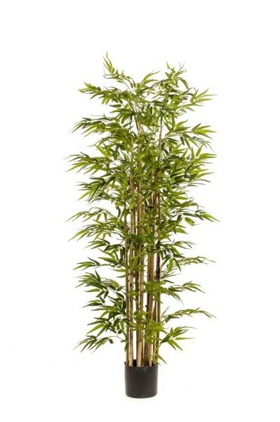 Bamboo deluxe mākslīgais augs 175cm