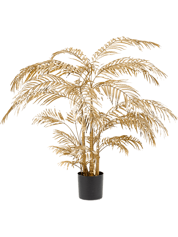 Zelata Areca Palm 105cm