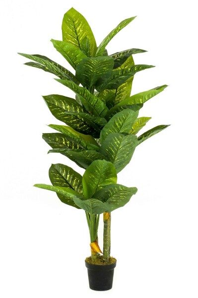 Dieffenbachia plant 175cm mākslīgais augs