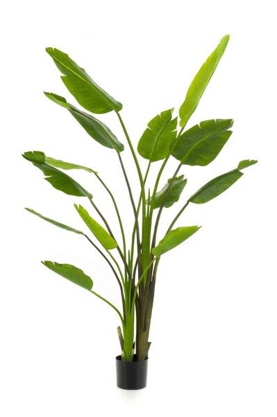 Strelitzia nicolai 180cm mākslīgais augs