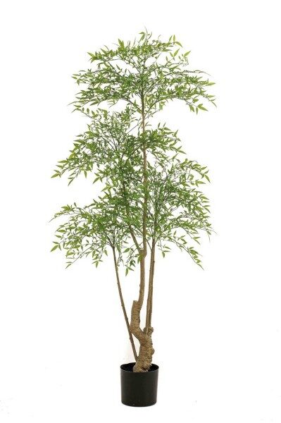 Ruscus tree 180cm mākslīgais augs
