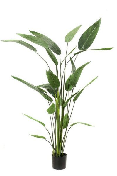 Heliconia 175cm mākslīgais augs