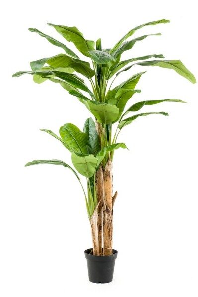 Banana tree 210cm mākslīgais augs