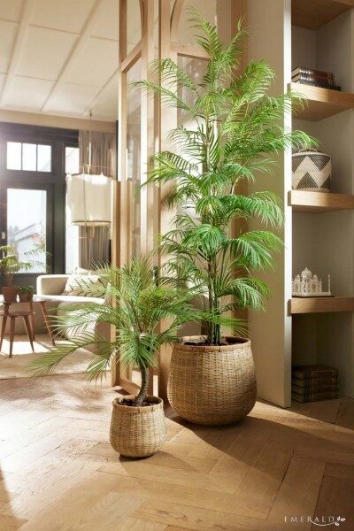 Chamaedorea palm 180cm mākslīgais augs