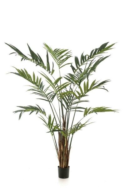 Kentia palm 270cm mākslīgais augs
