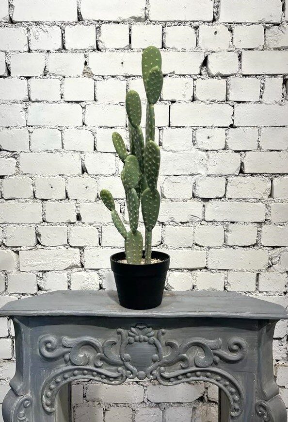 Kaktuss (augstums - 70 cm, diametrs - 17 cm)