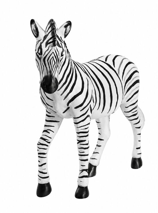 Zebra 165cm x 180cm