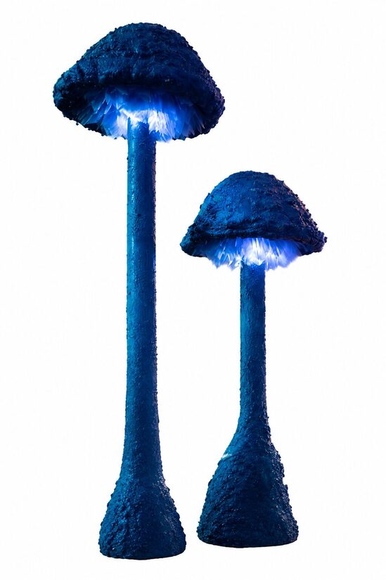 Maģiskās Sēnes 