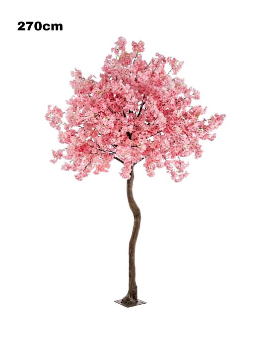 Sakura 270cm ( Ķiršu koks )
