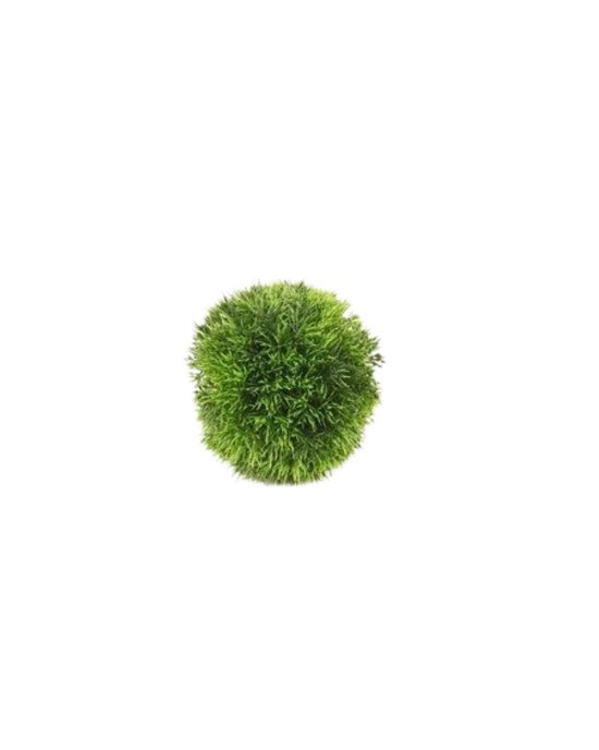 Grass ball d15cm