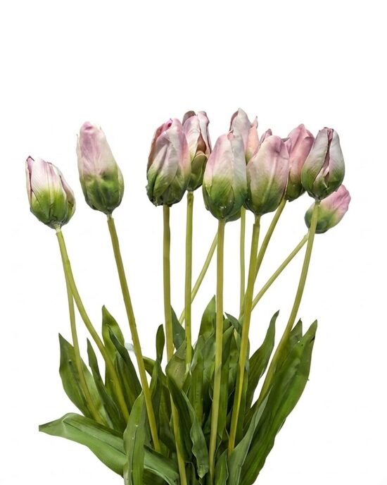 Mākslīgā tulpe - (Augstums -71cm, daudzums - 166gab.)