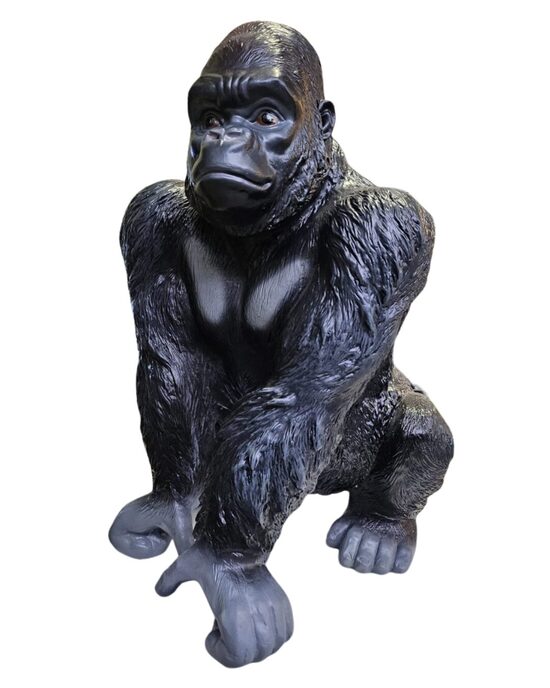 Gorilla Mazā 60cm x 50cm