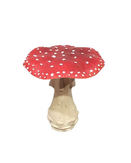 Dekoratīva mušmirīte 20 cm