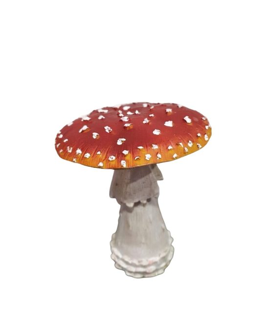 Dekoratīva mušmirīte 17 cm
