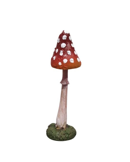 Dekoratīva mušmirīte 13 cm
