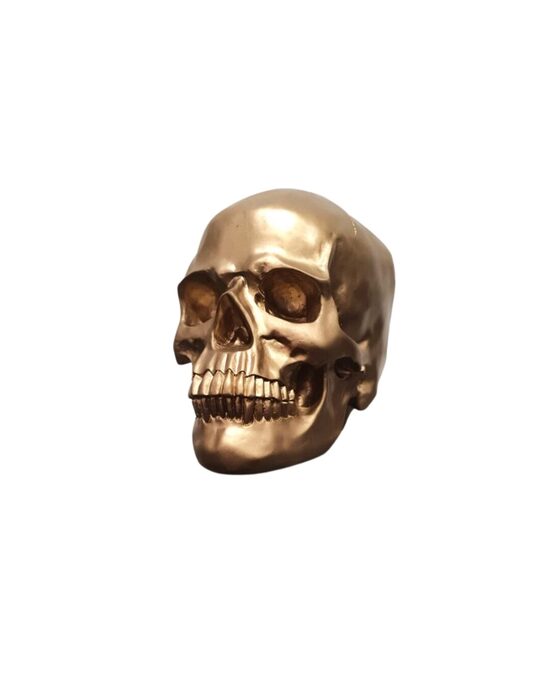 Dekoratīva skeletgalva (augstums 25 cm)