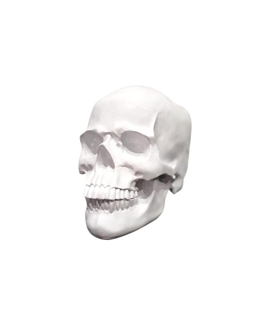 Dekoratīva skeletgalva (augstums 25 cm)