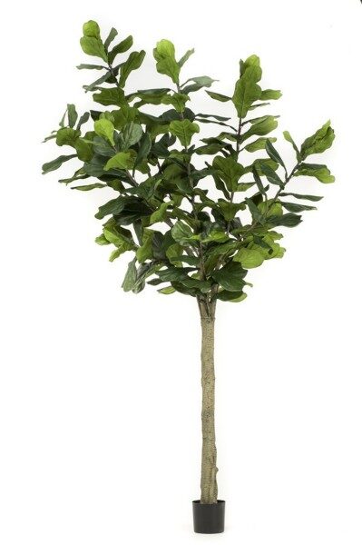 Ficus lyrata mākslīgais augs 300cm