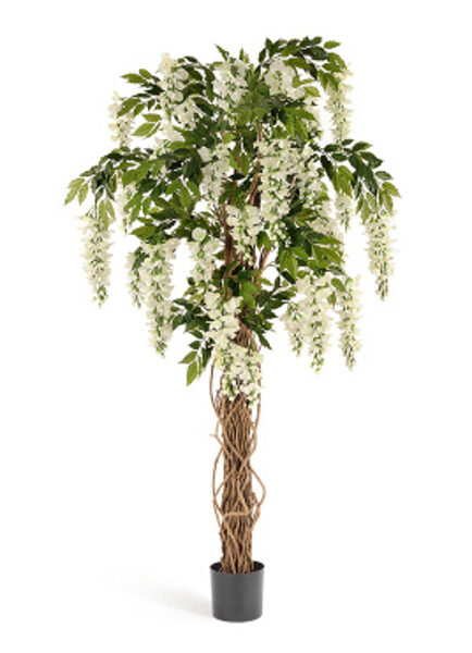 Wisteria 180cm mākslīgais augs
