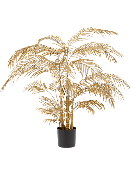 Zelata Areca Palm 105cm
