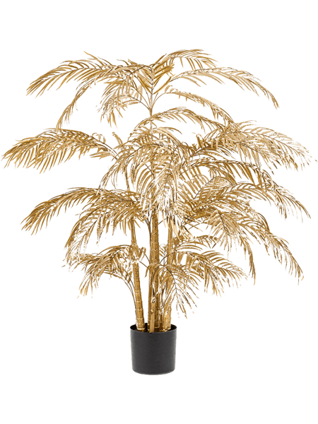 Zelta Areca Palm 145cm