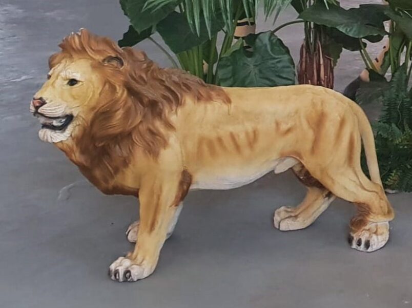 Lauva 75cm x 110cm