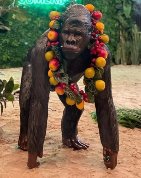 Gorilla