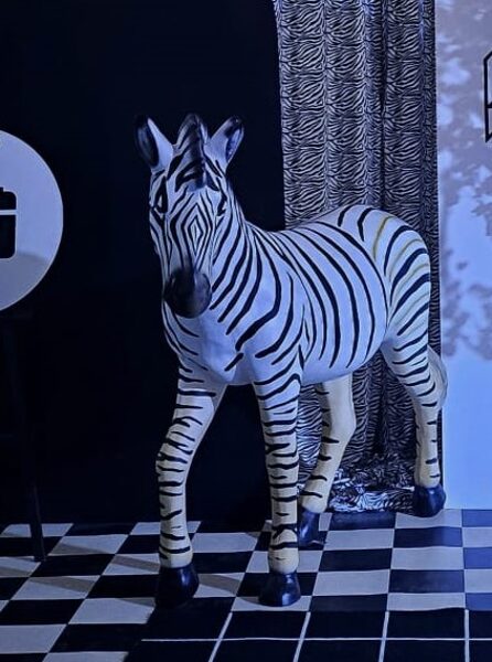 Zebra 165cm x 180cm