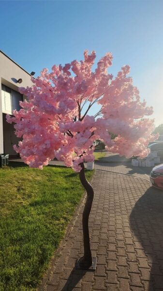 Sakura 270cm ( Ķiršu koks )