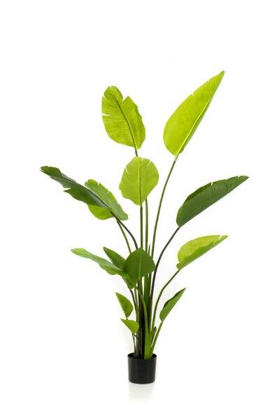 Strelitzia nicolai 150cm mākslīgais augs