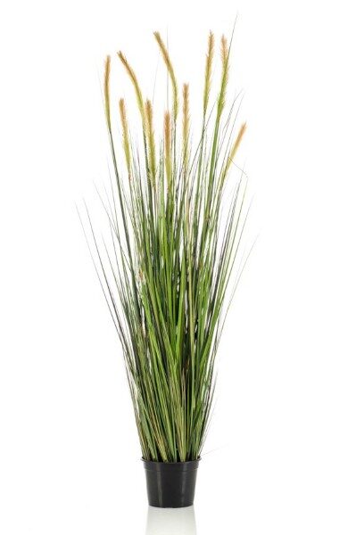 Foxtail grass 150cm mākslīgās smilgas