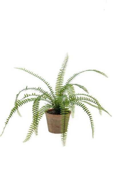 Fern nephrolepis bush 60cm mākslīgais augs māla podā
