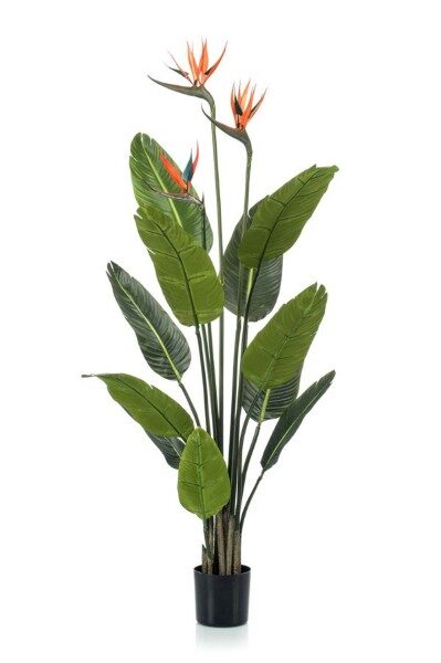 Strelitzia tree w3 flowers 120cm mākslīgais augs