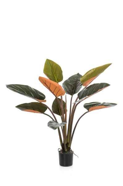 Philodendron green/orange 120cm