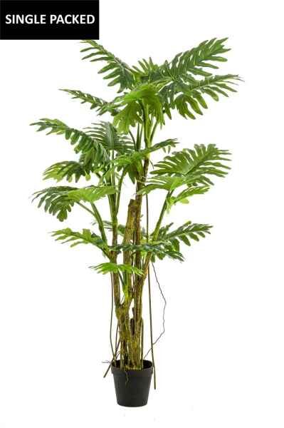 Philodendron tree with liana 195cm