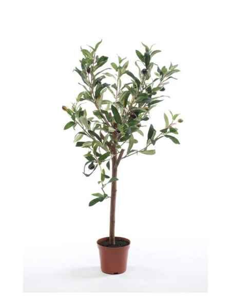 Olive mini tree 65cm