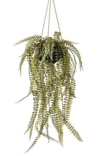 Fern on iron stand round hanging 95cm ( iekarināma paparde )