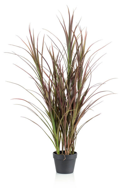 Zāle podā  burgundy/ dk green 115cm