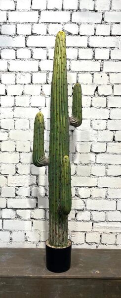 Kaktuss (augstums - 170 cm, diametrs - 20 cm)